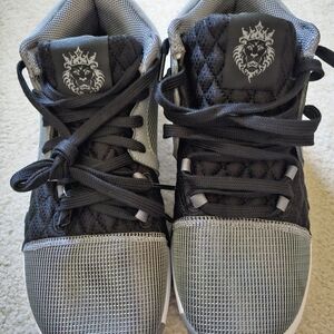 Nike LBJ witness VIII Shoes